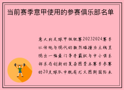 当前赛季意甲使用的参赛俱乐部名单